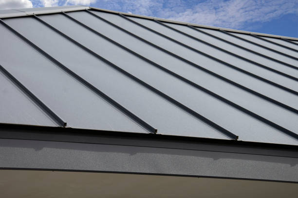 Best Sheet Metal Roofing  in Sugar City, ID